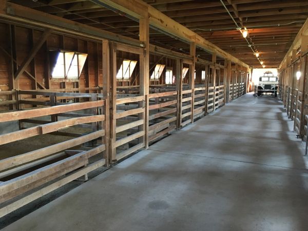 Barn Floor Pouring in Gainesville