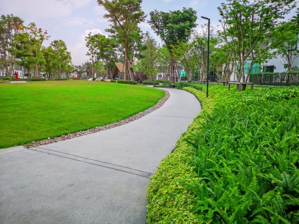 Cement Walkway Service in Gainesville
