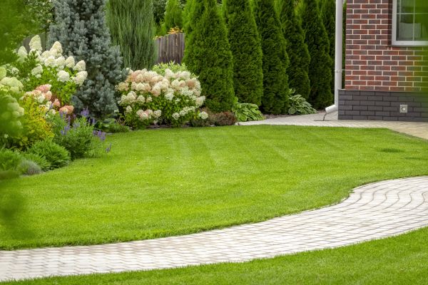 Landscape Walkway Installation in Gainesville